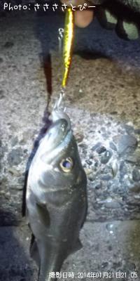 ��ǯ�饷���Х�