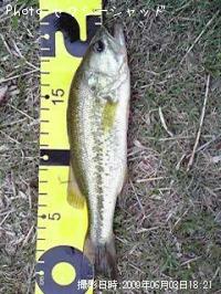 ¥Ö¥é¥Ã¥¯¥Ð¥¹