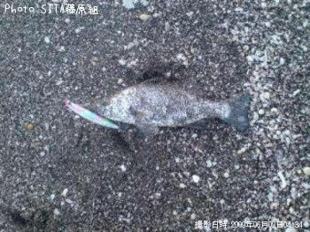 �ҥ饹����