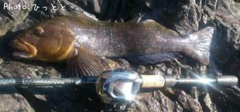 �����ʥ�