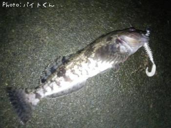 �����ʥ�