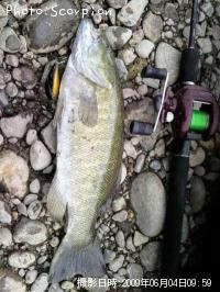 ¥Ö¥é¥Ã¥¯¥Ð¥¹