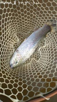 �쥤��ܡ��ȥ饦��