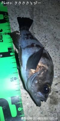 ���ꥢ��Х�