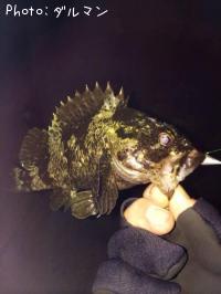 �����Υ���Х�