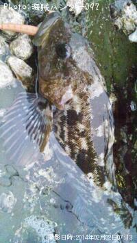 �����ʥ�