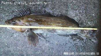 �����ʥ�