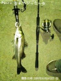 �����Х�