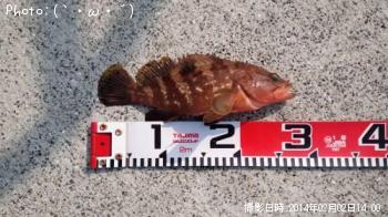 �����ϥ�