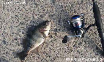 ������Х�