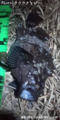 ¥á¥Ð¥ë¡õ¤á¤Ã¤Á¤ãÊ¢¥Ñ¥ó¥½¥¤