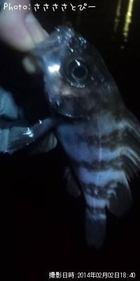 ¥á¥Ð¥ë¡õ¤á¤Ã¤Á¤ãÊ¢¥Ñ¥ó¥½¥¤