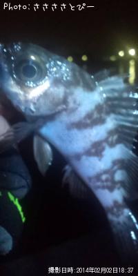 ¥á¥Ð¥ë¡õ¤á¤Ã¤Á¤ãÊ¢¥Ñ¥ó¥½¥¤