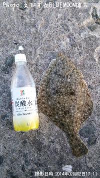 ¥¤¥·¥¬¥ì¥¤