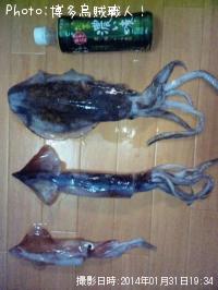 �����ꥤ��