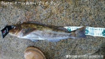 �����ʥ�