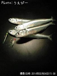 �ȥ������������亮