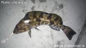 �����ʥ�