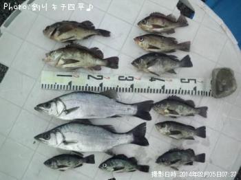 ��Х�����