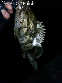 �٥å�������