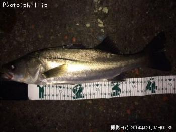 �����Х�