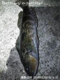 �����ʥ�