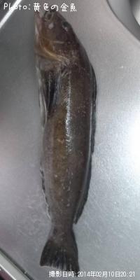 �����ʥ�