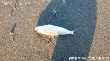 ¥³¥Î¥·¥í¡©