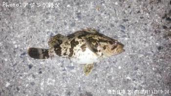 �����Υ���Х�