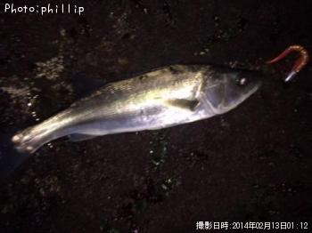 �����Х�