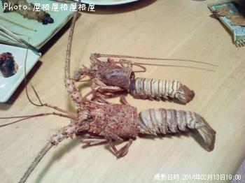 ������Ϸ