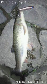 �ޥ륿������