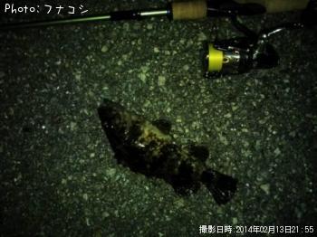 ¥¿¥±¥Î¥³¥á¥Ð¥ë