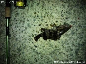 �����Υ���Х�