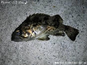 ���ӥ���