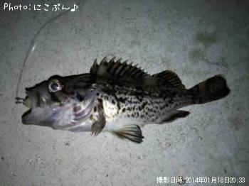 ���ӥ���