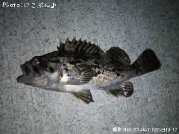 ���ӥ���