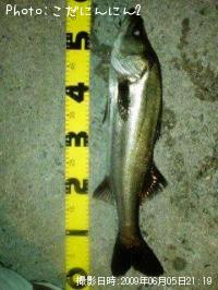 �����Х�