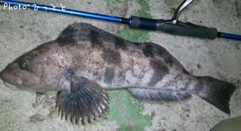 �����ʥ�