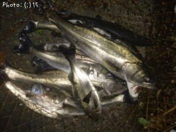 �����Ф�