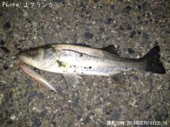 �����Х�