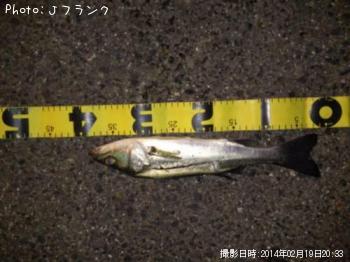 �����Х�