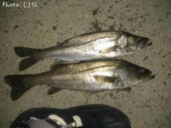 �����Ф�