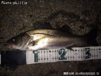 �����Х�