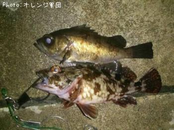 ¥á¥Ð¥ë¤È¥«¥µ¥´