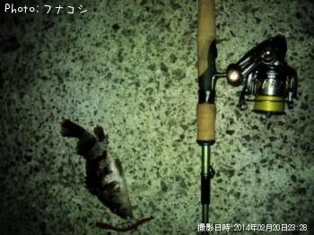 �����Υ���Х�