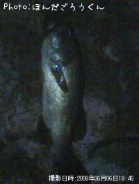 �֥�å��Х�