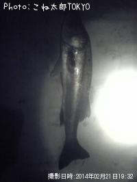 �����Х�