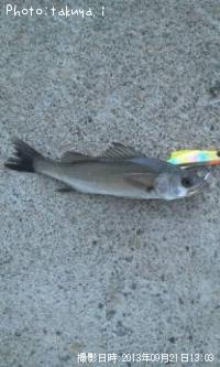 �����Х�