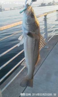 �����Х�